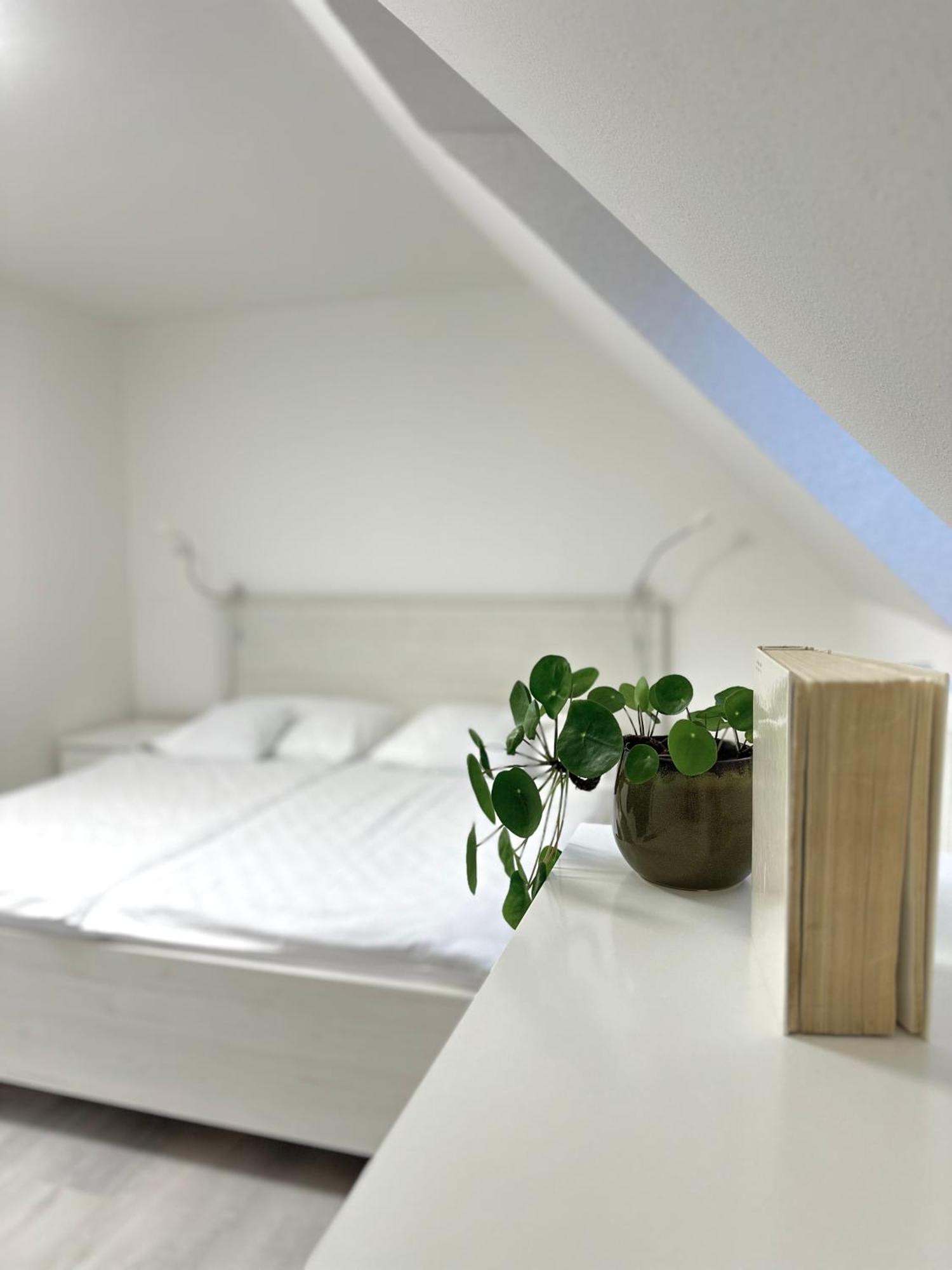 Apartment Nela Pavčina Lehota Eksteriør billede
